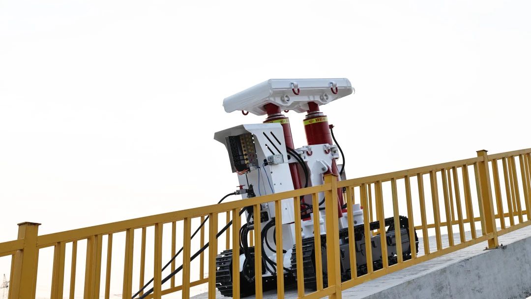 1750051894738398.jpg 1.jpg